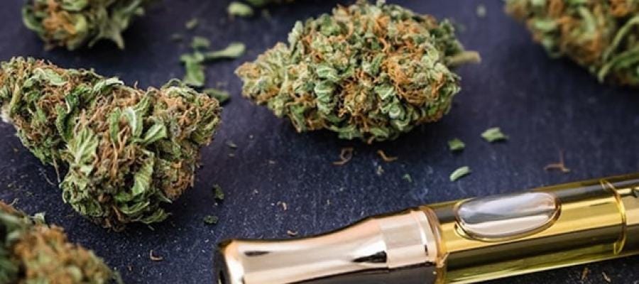 Close-up of cannabis buds and a vape pen. Drug legalization implications.