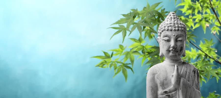 Serene Buddha statue, hands in prayer, amidst lush green leaves. Zen.