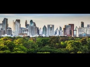 City skyline with lush green trees in the foreground, showcasing urban development alongside environmental preservation.