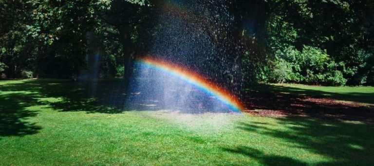 Rainbow created by a sprinkler in a park.