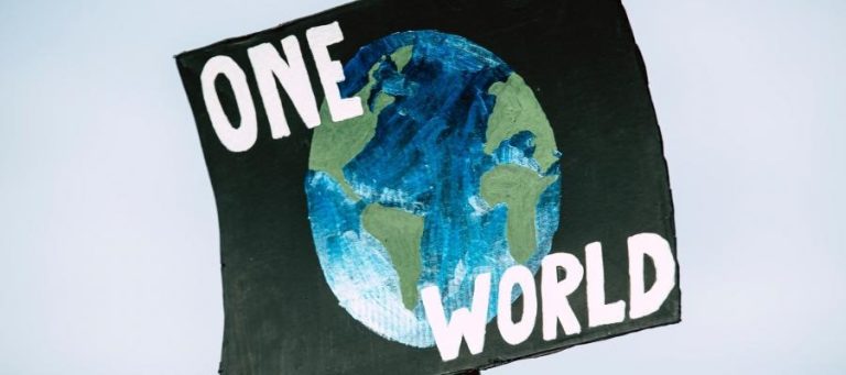 Protest sign reading "ONE WORLD" with painted Earth. Climate change activism.