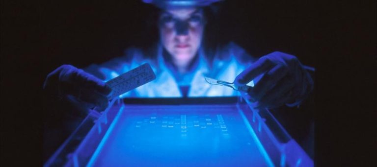 Scientist working with DNA samples under UV light