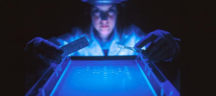 Scientist working with DNA samples under UV light