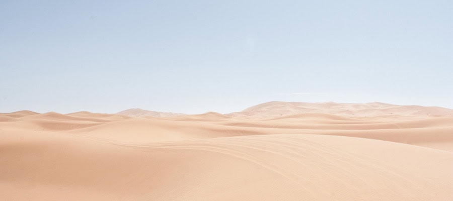 Vast, undulating sand dunes under a pale blue sky. The emptiness evokes questions of existence.