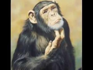 Thoughtful chimpanzee contemplating morality.