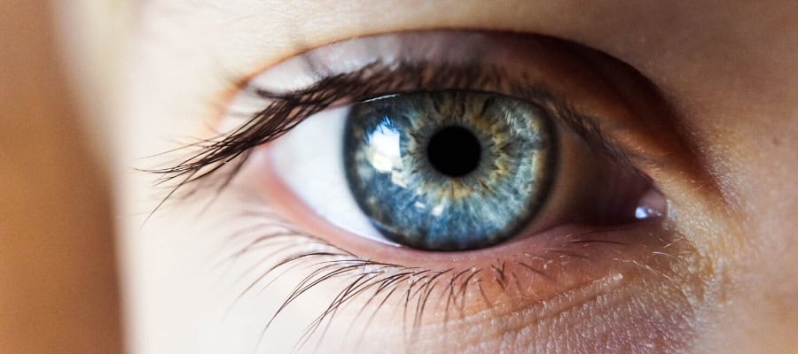 Close-up of a person's blue eye.