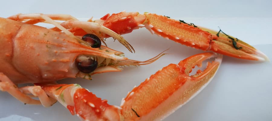 Close-up of cooked langoustine, showcasing its vibrant orange color and intricate details.