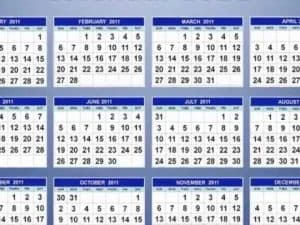 2011 calendar: January-December. Examined Year.