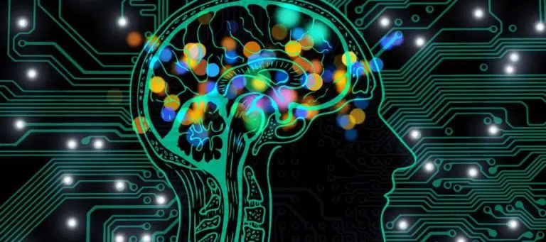 Teal brain graphic overlaid on a circuit board, representing the intersection of mind and technology.
