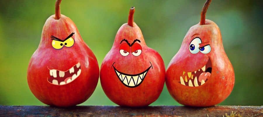 Three pears with funny, angry faces. Rough humor.