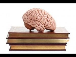 Human brain resting on a stack of books. Your brain on literature.