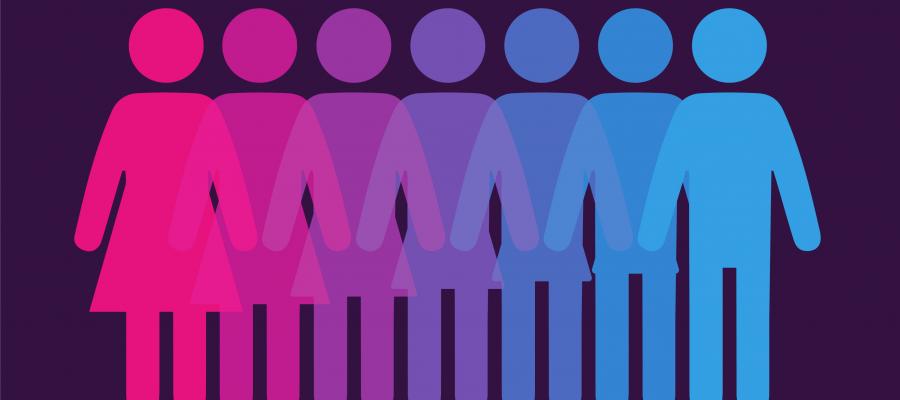 Silhouette figures transitioning from pink to blue, representing a spectrum of identities.