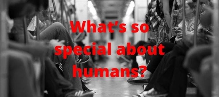 Commuters ride a crowded subway car. What's so special about humans?