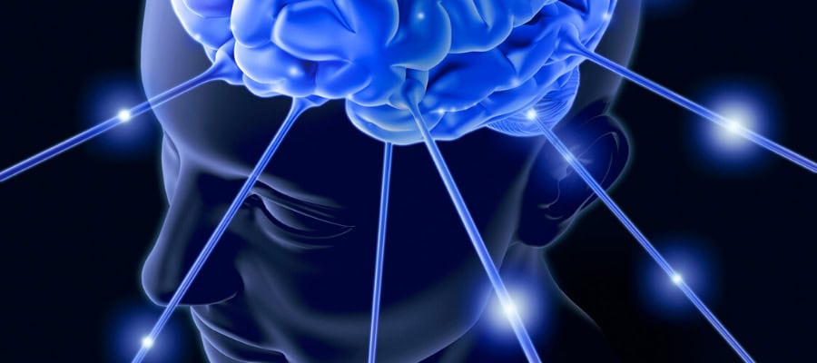 Human brain with glowing neural connections, illustrating the evolution of the human mind.
