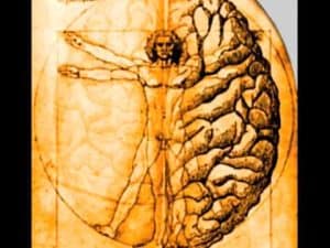 Vitruvian Man superimposed on a brain, illustrating the concept of the extended mind.