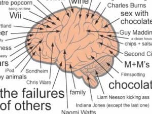 Diagram of a brain with labels indicating things that bring happiness, such as chocolate, wine, and family. Ancient wisdom for modern times.