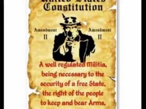Second Amendment: A well-regulated militia, being necessary to the security of a free state, the right of the people to keep and bear arms.