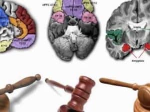 Brain diagrams illustrating neuroscience and the law, alongside gavel images representing the justice system.