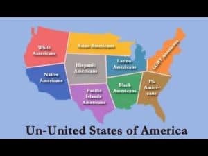Map of the US divided by ethnicity and sexual orientation, illustrating identity politics.