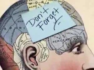 Diagram of a brain with a sticky note reading "Don't Forget".