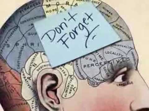 Diagram of a brain with a sticky note reading "Don't Forget".