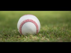 Baseball resting in green grass